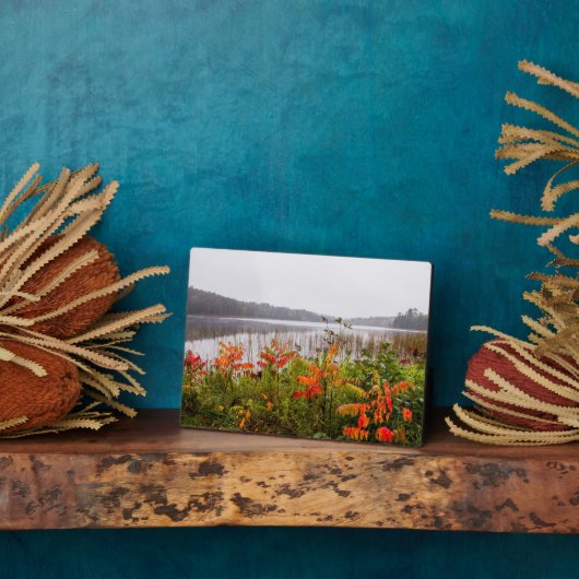 イタスカ州パーク |ミネソタ フォトプラーク (側面)