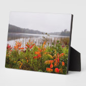 イタスカ州パーク |ミネソタ フォトプラーク (側面)