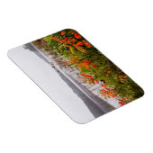 イタスカ州パーク |ミネソタ マグネット (右側)