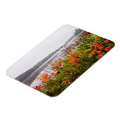 イタスカ州パーク |ミネソタ マグネット (左側)