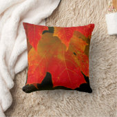 イタスカ州パーク、紅葉2 クッション (ブランケット)