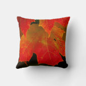 イタスカ州パーク、紅葉2 クッション (裏面)