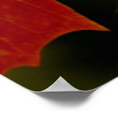 イタスカ州パーク、紅葉2 ポスター (角)