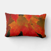 イタスカ州パーク、紅葉2 ランバークッション (裏面)