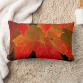 イタスカ州パーク、紅葉2 ランバークッション (ブランケット)