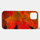 イタスカ州パーク、紅葉2 Case-Mate iPhoneケース (裏面 (横))