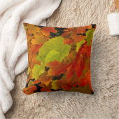 イタスカ州パーク、紅葉 クッション (ブランケット)