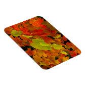 イタスカ州パーク、紅葉 マグネット (右側)