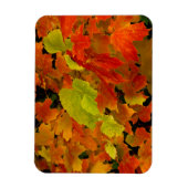 イタスカ州パーク、紅葉 マグネット (縦)