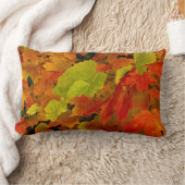 イタスカ州パーク、紅葉 ランバークッション (ブランケット)