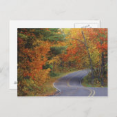 イタスカ州公園の秋の木道 ポストカード (正面/裏面)