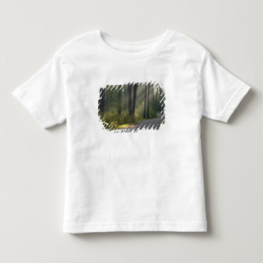 イタスカ州立公園のワイルダネス・ドライブ, トドラーTシャツ (正面)