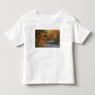 イタスカ州立公園の並木道 トドラーTシャツ