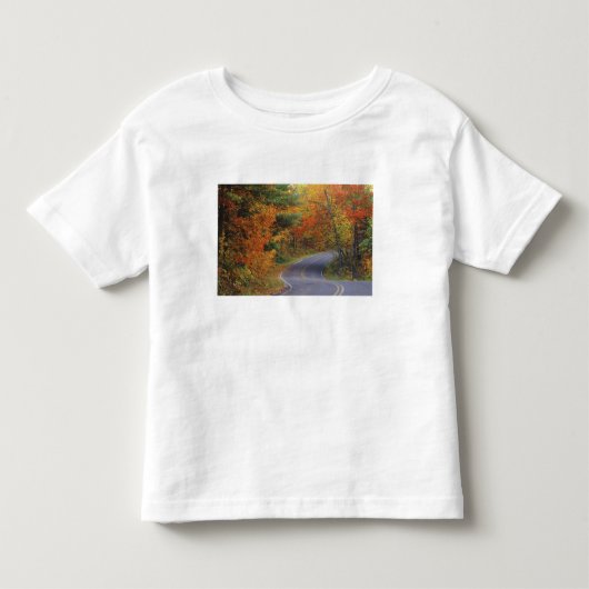イタスカ州立公園の並木道 トドラーTシャツ (正面)