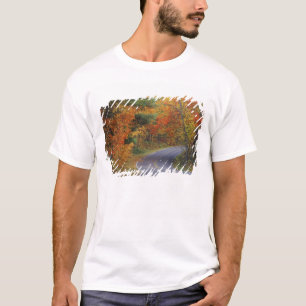 イタスカ州立公園の並木道 Tシャツ