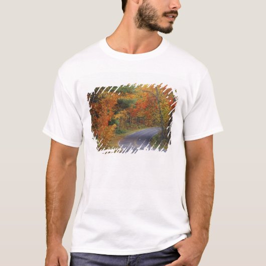 イタスカ州立公園の並木道 Tシャツ (正面)