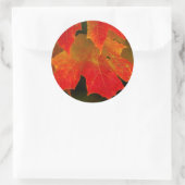イタスカ州立公園の紅葉 2 ラウンドシール (バッグ)