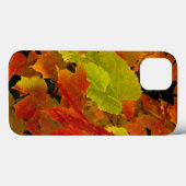 イタスカ州立公園の紅葉 Case-Mate iPhoneケース (裏面 (横))