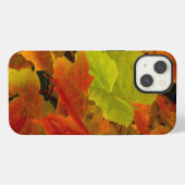 イタスカ州立公園の紅葉 iPhoneケース (裏面横)