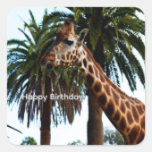 イタズラなキリンのラズベリー誕生日ステッカー スクエアシール (正面)