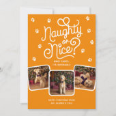 イタズラ?それとも優しい? かわいいペットの犬または猫の3枚の写真 シーズンカード (正面)