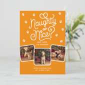 イタズラ?それとも優しい? かわいいペットの犬または猫の3枚の写真 シーズンカード (スタンド正面)