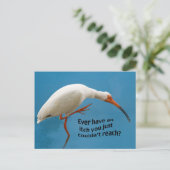 イタチ葉書付き白イビス ポストカード (スタンド正面)