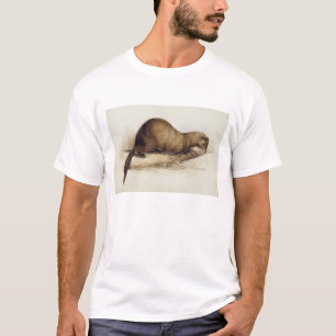 イタチ1832年(w/c、ペン、インク、グワッシュおよびゴムのove tシャツ