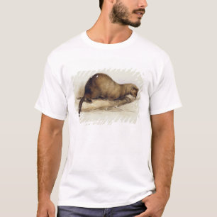 イタチ1832年(w/c、ペン、インク、グワッシュおよびゴムのove tシャツ