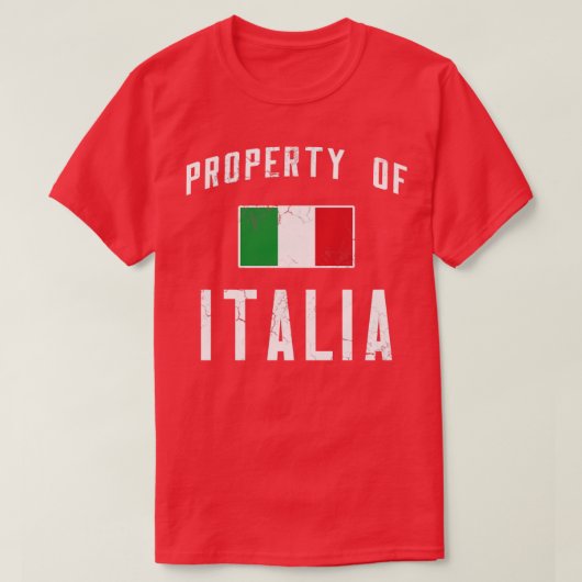 イタリアのイタリアン財産 Tシャツ (デザイン正面)