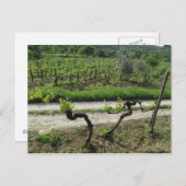 イタリアのキアンティ地方のワイナリー ポストカード (正面/裏面)