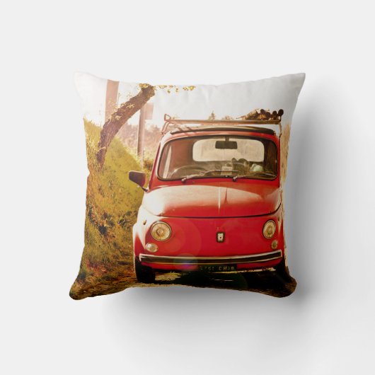 イタリアのクラシックな車のクッションのフィアット500 クッション (裏面)