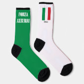 イタリアのサッカーヨーロッパ選手権2024 ソックス (右)