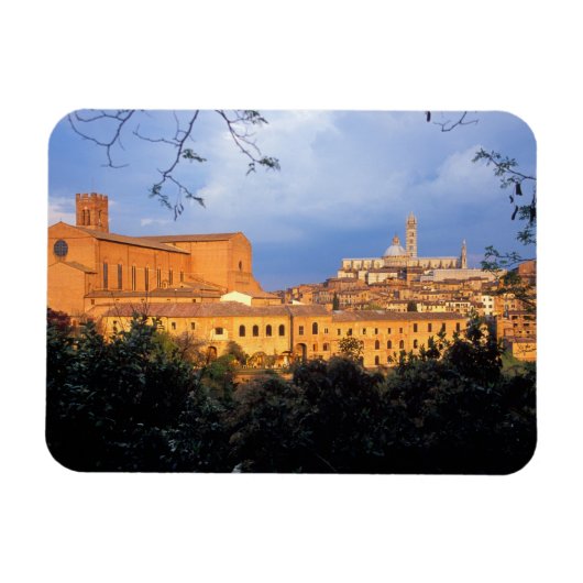 イタリアのシエナのトスカーナ村。 マグネット (横)