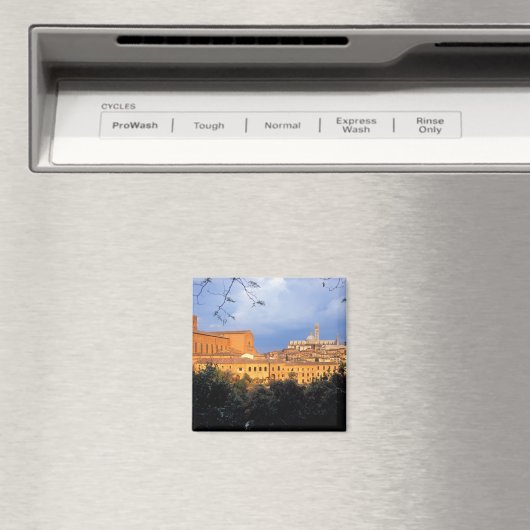 イタリアのシエナのトスカーナ村。 マグネット (インサイチュ (食洗機))