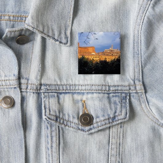 イタリアのシエナのトスカ村。 缶バッジ (インサイチュ)