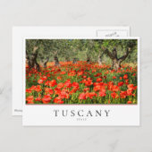 イタリアのトスカーナのオリーブの木の下のポピーの花 ポストカード (正面/裏面)