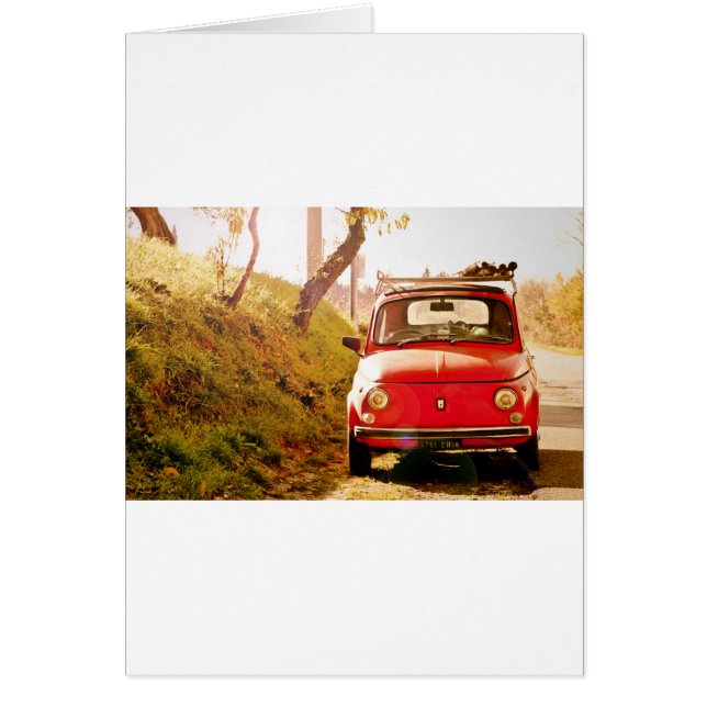 イタリアのフィアット500 (正面)