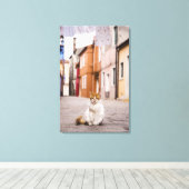 イタリアのブラーノ通りの猫。2006. キャンバスプリント (インサイチュ (ウッドフロア))