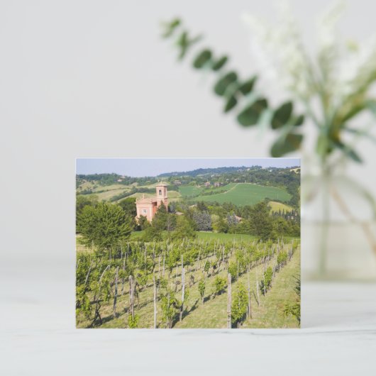 イタリアのボローニャ、Chiesaへのブドウ園を通した眺め ポストカード (スタンド正面)