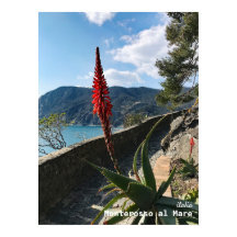 イタリアの旅