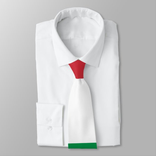 イタリアの旗 ネクタイ (タイ)