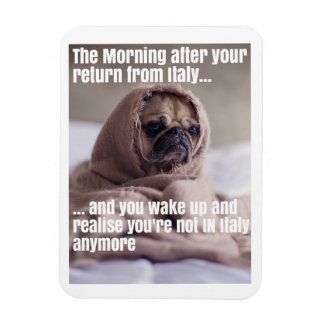 イタリアの磁石に戻す マグネット