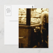 イタリアの空腹の犬 ポストカード (正面/裏面)