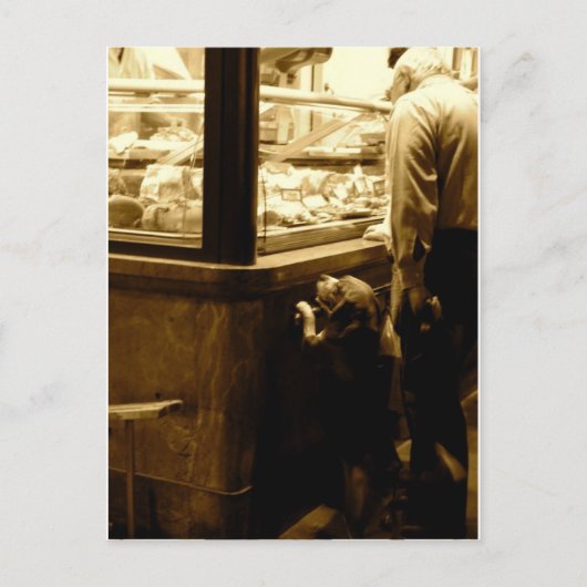 イタリアの空腹の犬 ポストカード (正面)