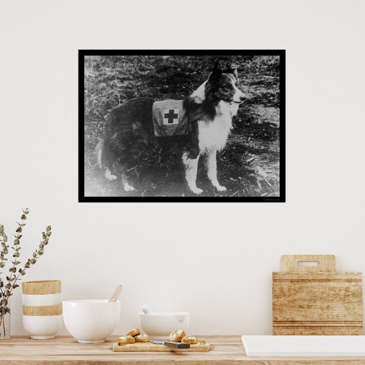 イタリアの赤十字社1909年 ポスター (キッチン)