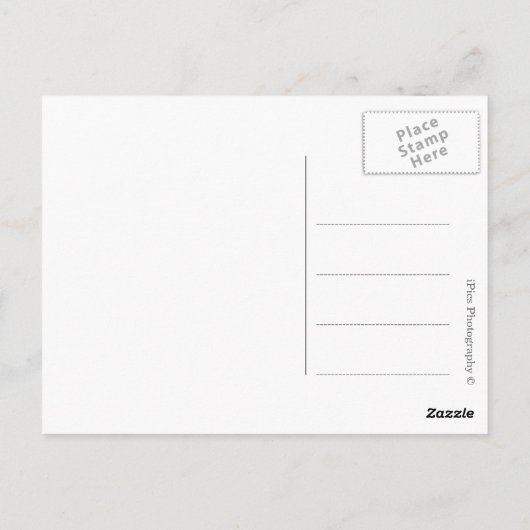 イタリアの通りで黒と白の古い車 ポストカード (裏面)