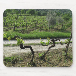 イタリアのChiantiの地域のブドウ園 マウスパッド