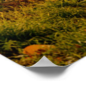 イタリアのRed Fiat 500、Cinquecento ポスター (角)