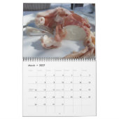 イタリアを通した饗宴 カレンダー (3月 2027)